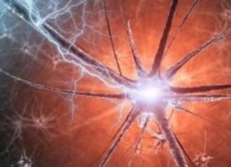 Les Royaumes de l’Intérieur